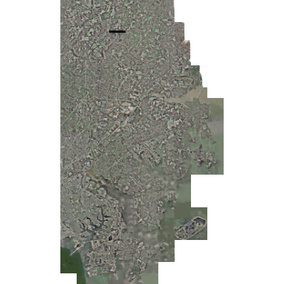 Export Image