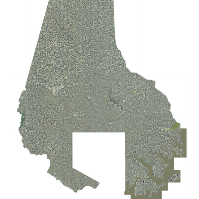 Export Image
