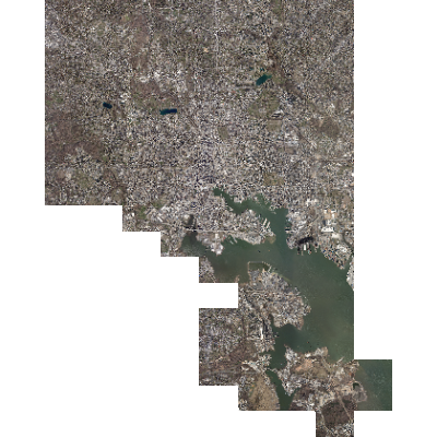Export Image