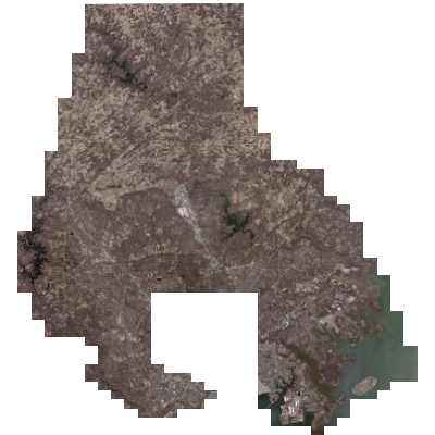 Export Image